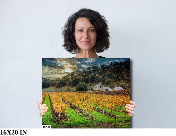 A woman holding up a painting of a vineyard.