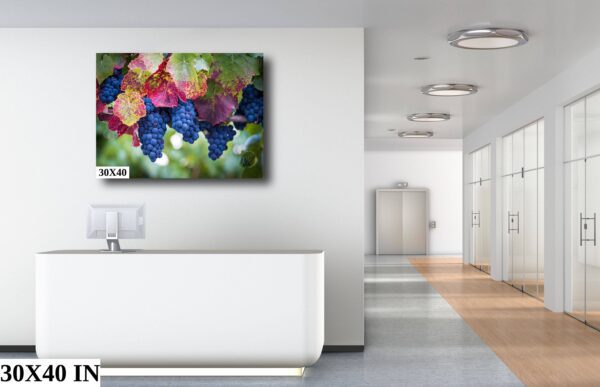 A painting of grapes on the wall in a room.