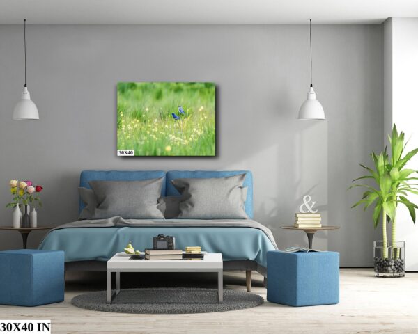 A bedroom with a blue bed and gray walls.