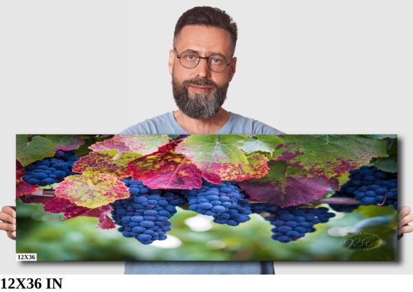 A man holding up a large picture of grapes.