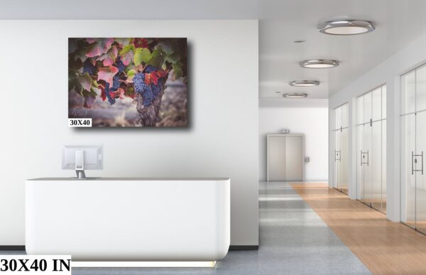 A white room with a painting on the wall