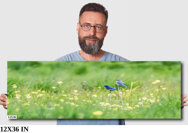A man with glasses and beard standing in front of a picture.
