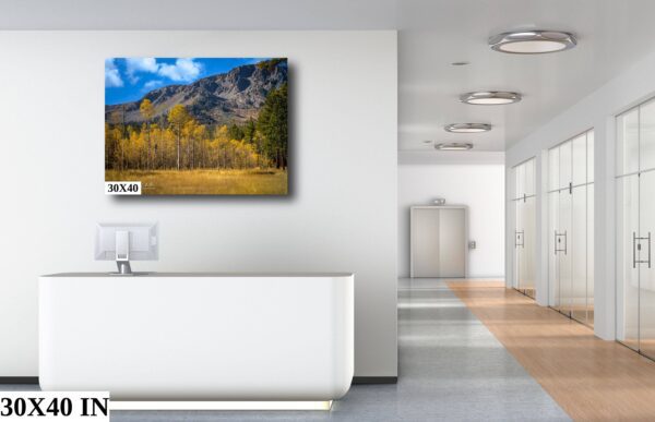 A white room with a large painting on the wall