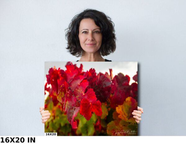 A woman holding up a picture of red flowers.