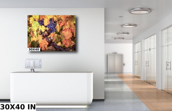 A white room with a large painting of grapes.