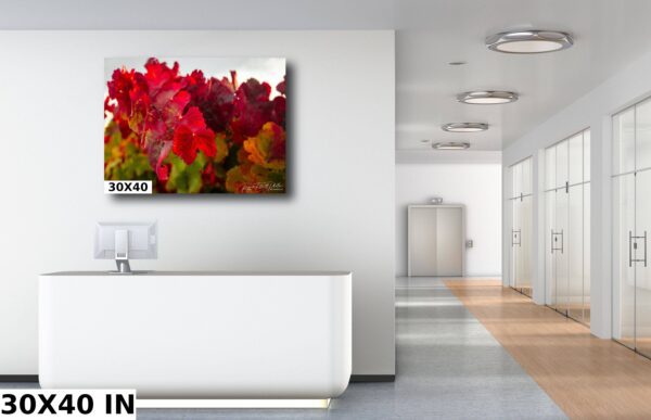 A white room with a large painting of red flowers.