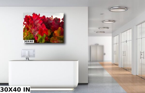 A white room with a large painting of red flowers.