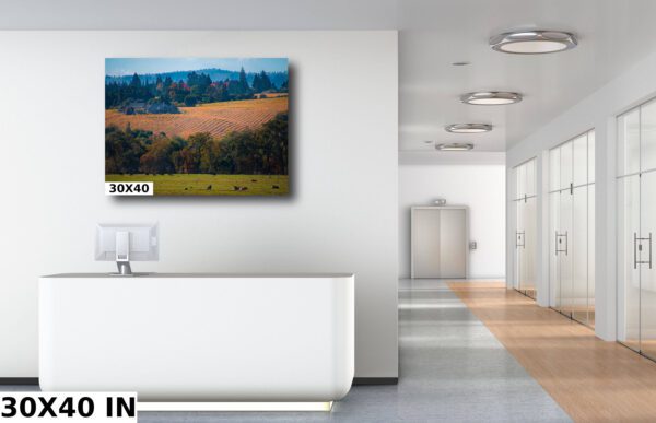 A large white room with a painting of a field