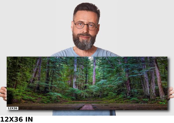 A man holding up a picture of trees