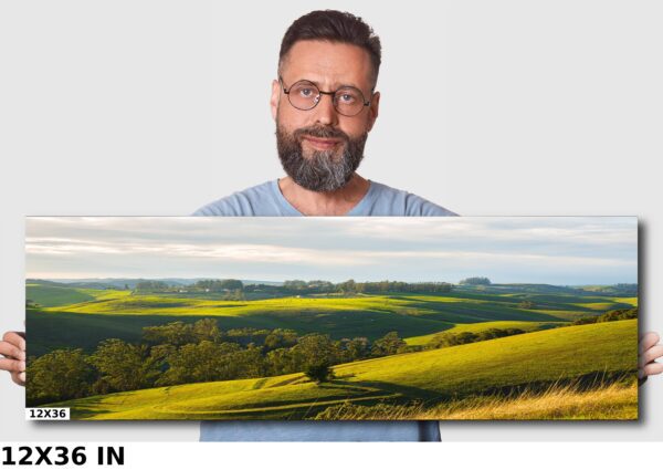 A man is standing in front of a picture