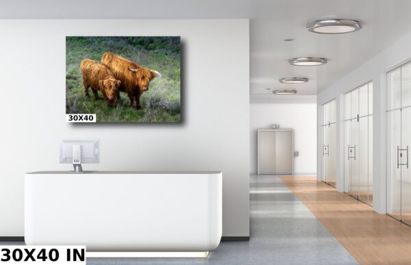 A couple of animals are standing in the room