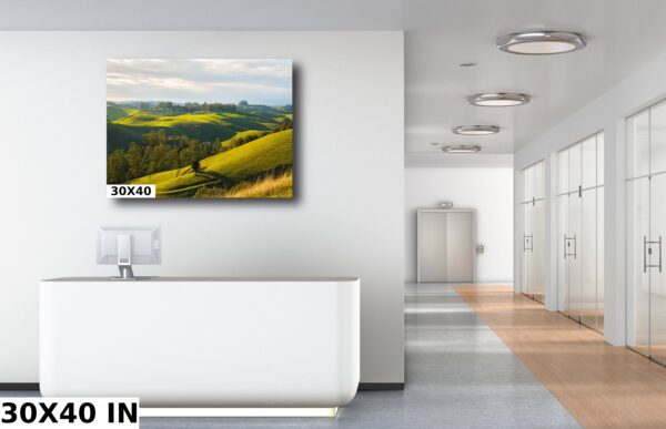 A large white room with a painting of a green field.