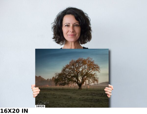 A woman holding up a picture of a tree.