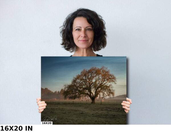 A woman holding up a picture of a tree.