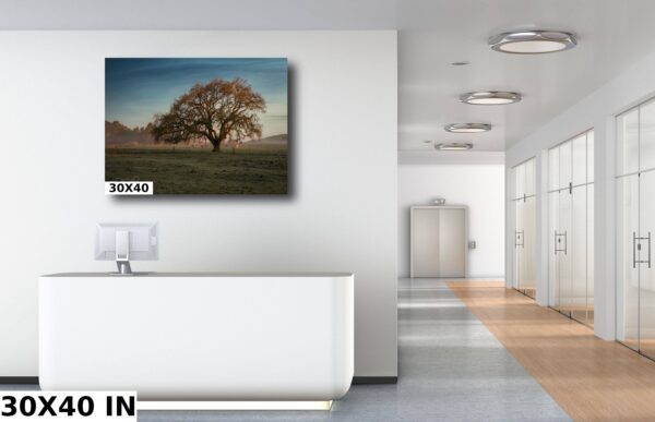 A large tree in the middle of a room.