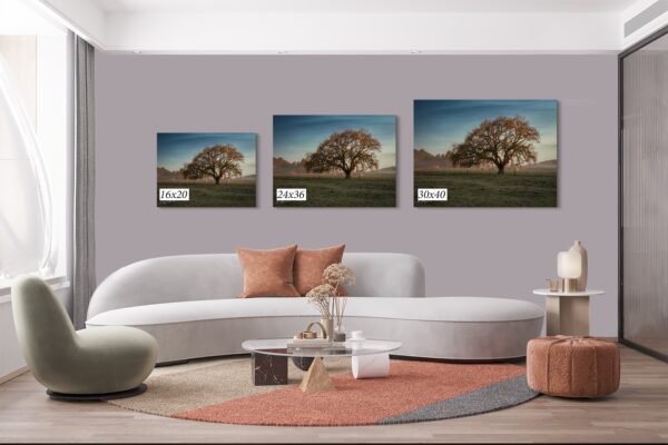 A living room with three different pictures of trees