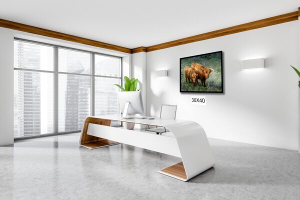 A living room with white walls and furniture.
