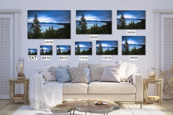 A living room with a couch and several pictures of trees