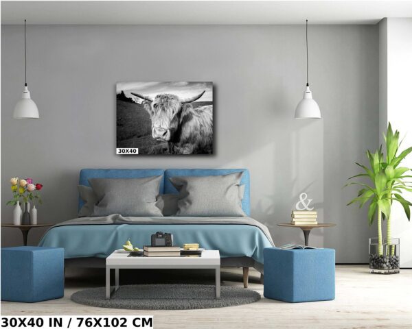 A bull is sitting on the wall of this room