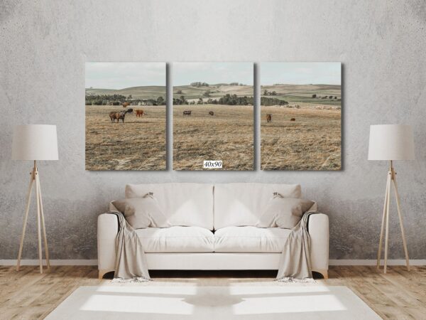 A couch and pillows in front of a wall with three pictures.