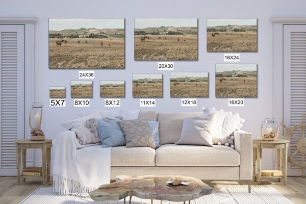 A living room with a couch and several pictures of animals