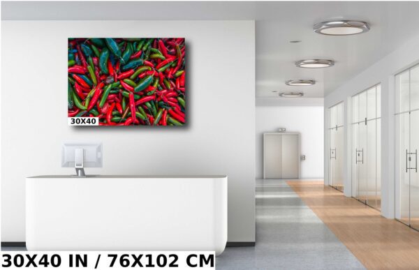 A room with a white wall and a large painting of red peppers