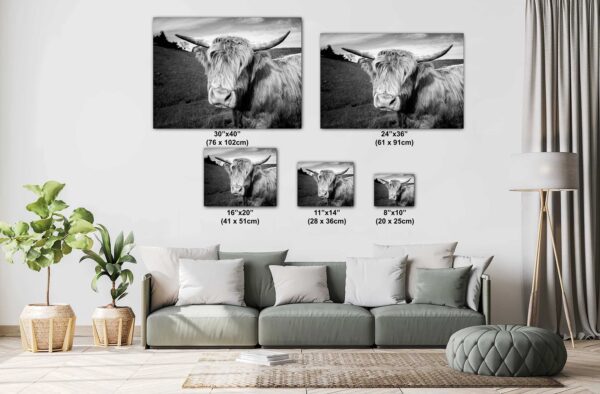 A living room with couches and pillows, and a cow in the background.