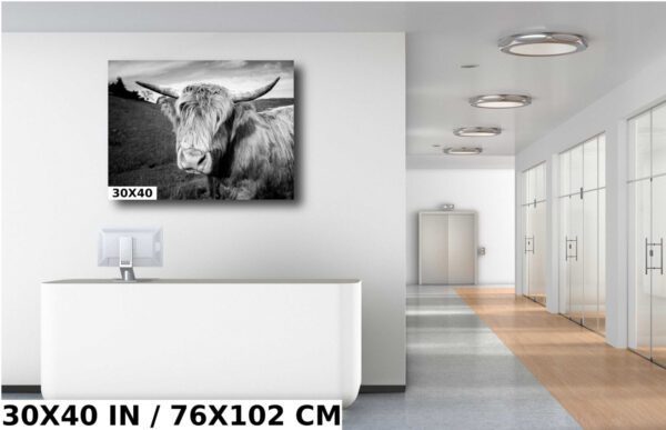 A black and white photo of two cows