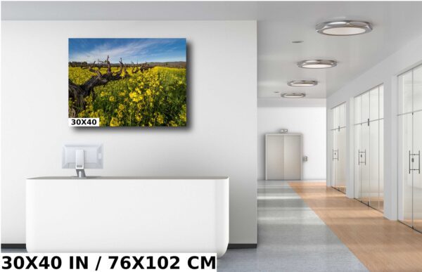A room with a white wall and a large painting of yellow flowers.