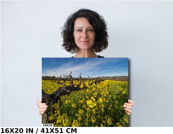 A woman holding up a picture of a field
