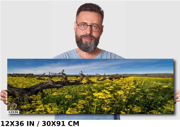 A man is standing in front of a picture.