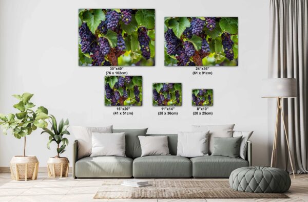 A couch with pillows and a wall hanging of grapes.