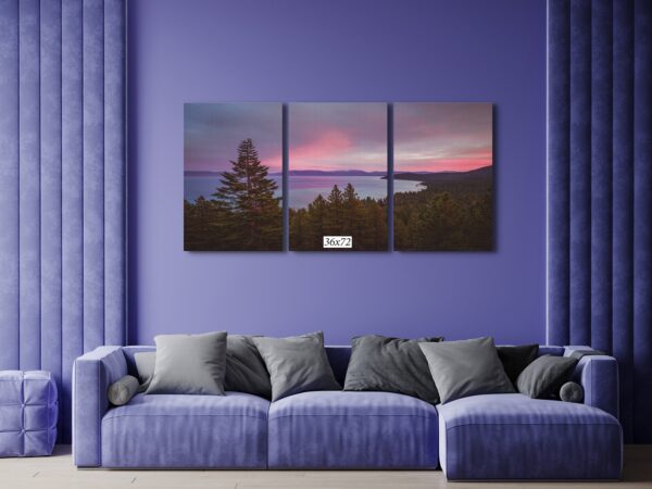A living room with purple walls and a couch