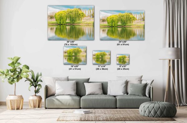 A living room with couch and pillows, and two pictures of trees.