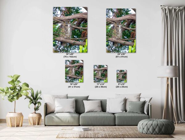 A living room with couch and pillows, trees