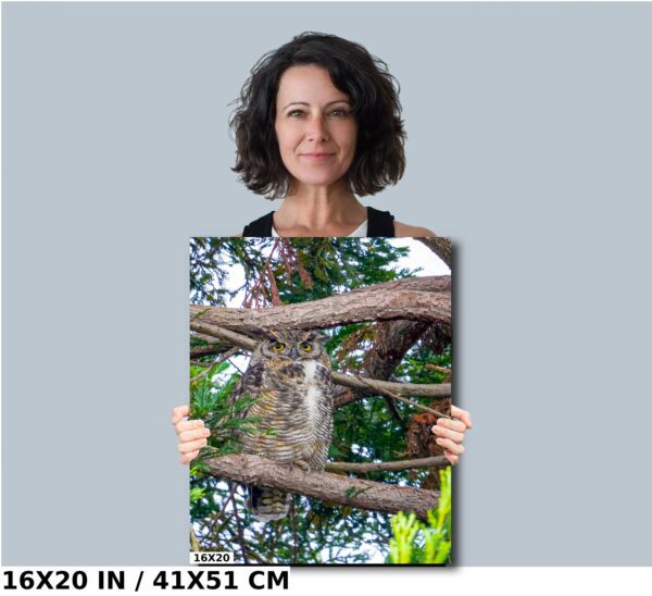 A woman holding up a picture of a tree.