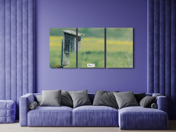 A couch and wall with three pictures on it