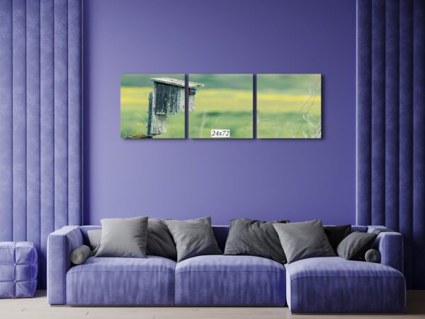 A couch and wall with three paintings on it