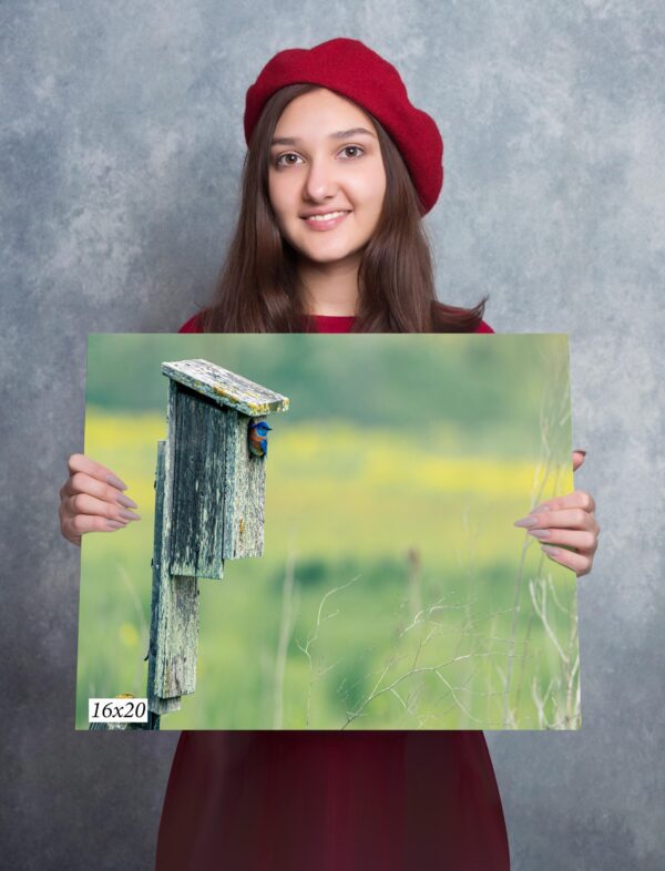 A girl holding up a picture of a bird house.