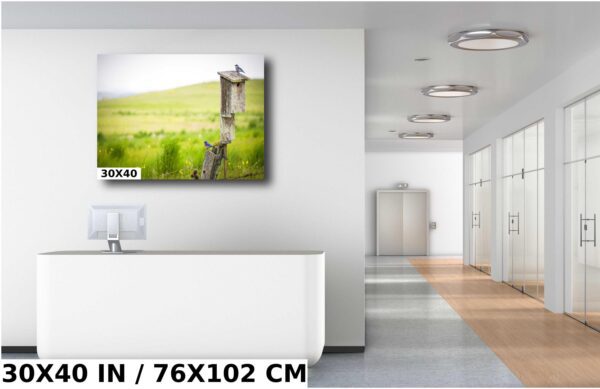 A large picture of some green grass and trees