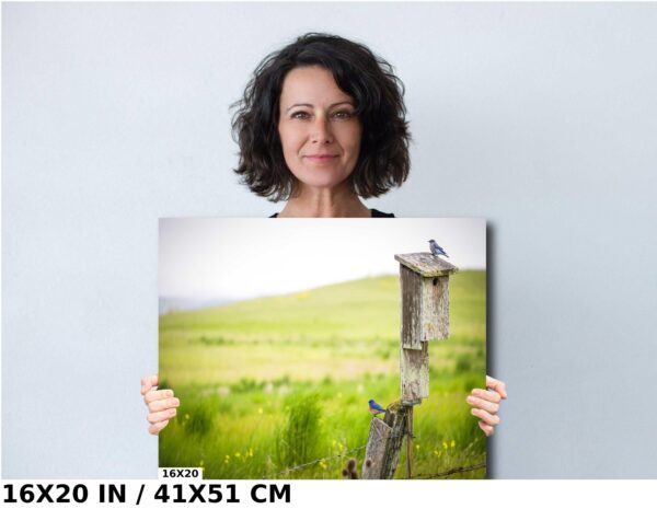A woman holding up a picture of a field