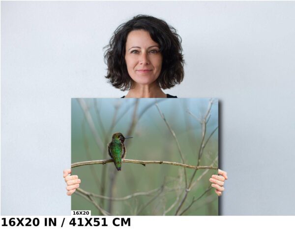 A woman holding up a picture of a bird.