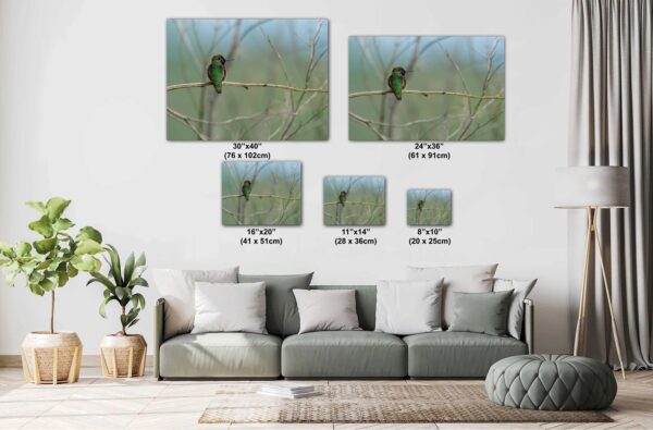 A large wall with several sizes of pictures on it.