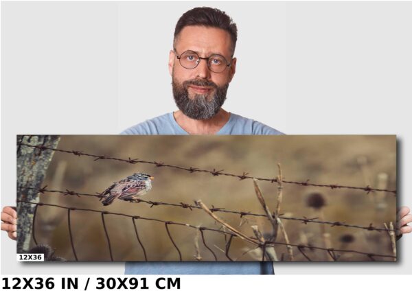 A man standing next to barbed wire with a bird on it.