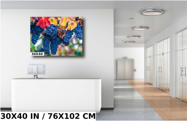 A large picture of grapes hanging on the wall