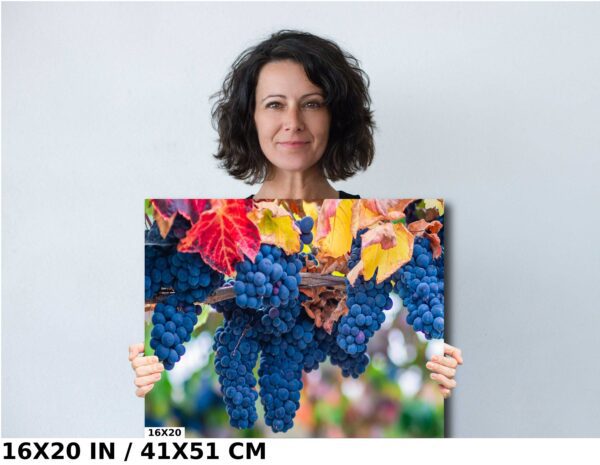 A woman holding up a picture of grapes.
