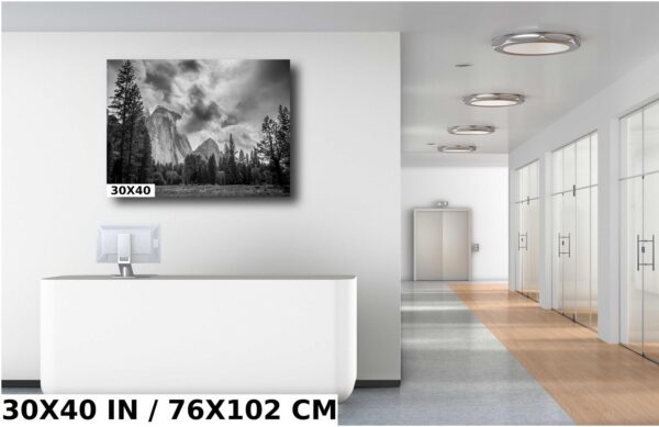 A large picture of some trees and mountains