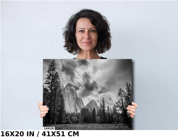 A woman holding up a picture of mountains and trees.