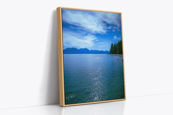 A picture of the ocean with trees in the background.