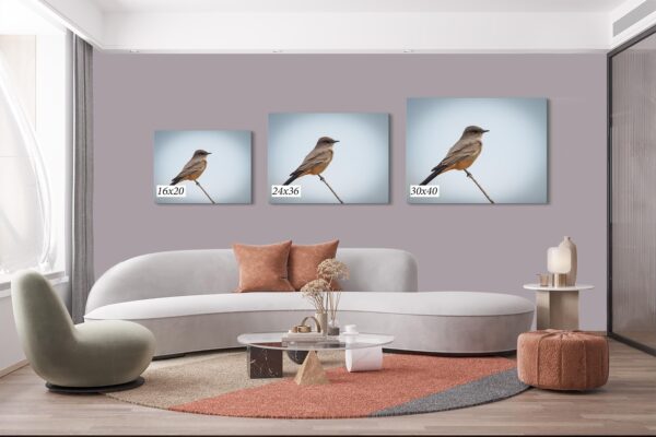 A living room with three pictures of birds on the wall